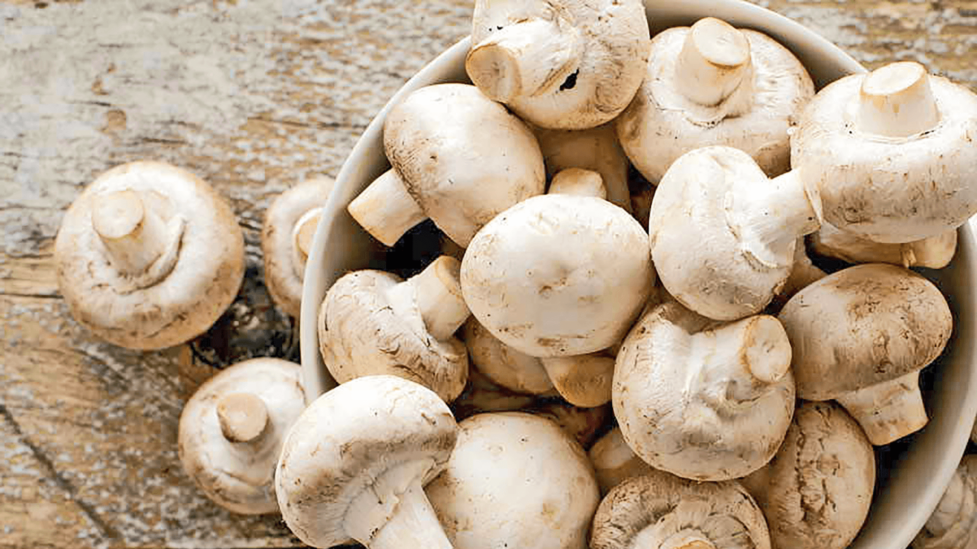 Ciuperci Champignon Proaspete